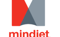 Mindjet MindManager 2022 22.2.209 Crack Free Download 2022
